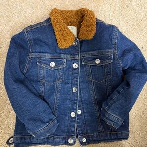 Zara Toddler Brown and Blue Outerwear
